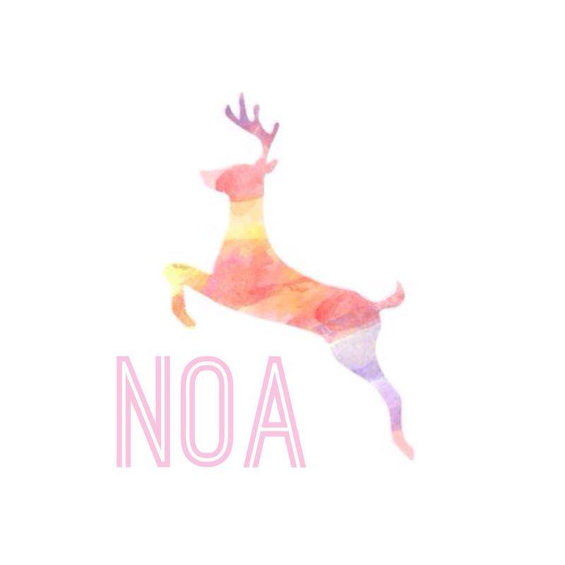 Noa Tienda